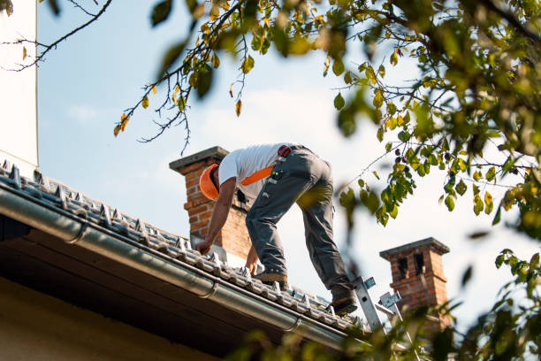 Best Roof Waterproofing Services  in Mclouth, KS