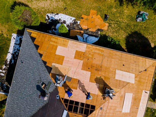 Best Roof Gutter Cleaning  in Mclouth, KS